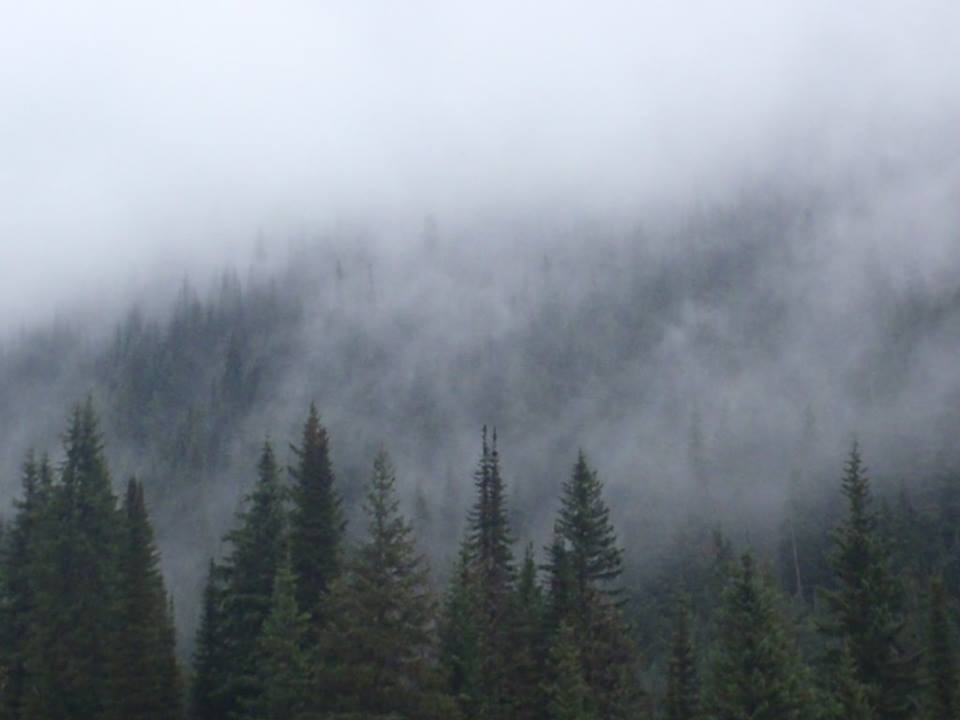 the rockies